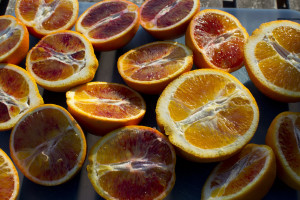sicily blood orange 1