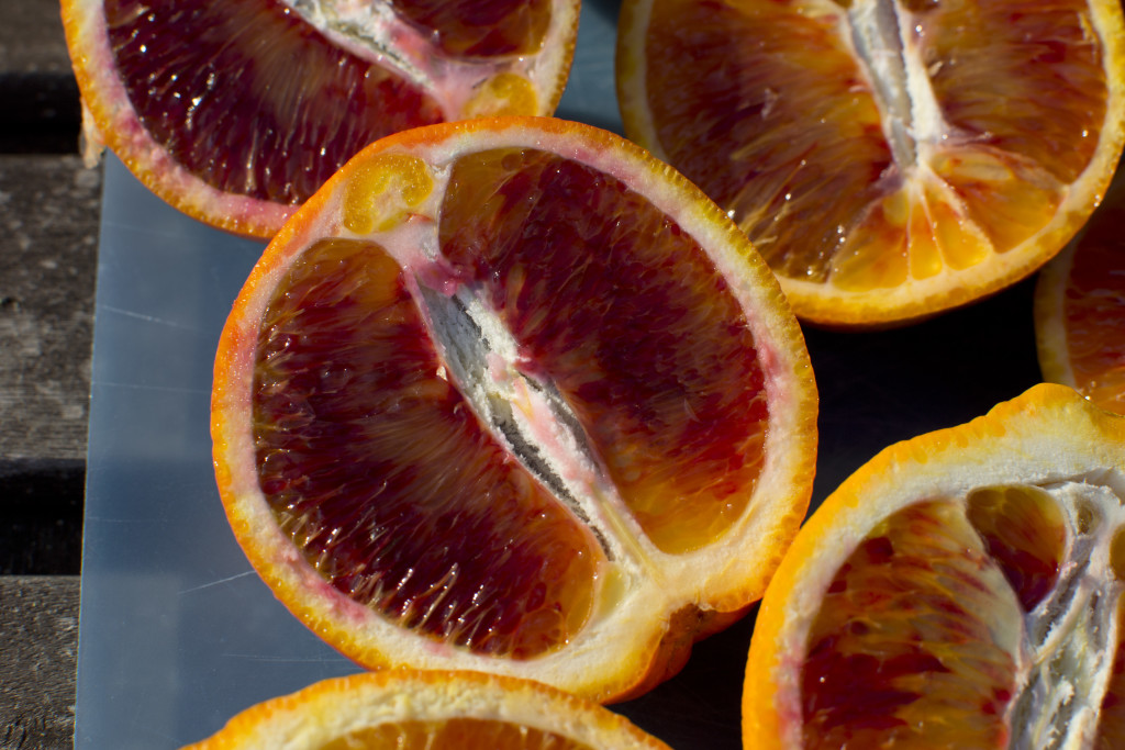 sicilian blood orange 2